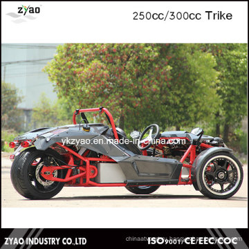 Ztr Trike Roadster 250cc EEC